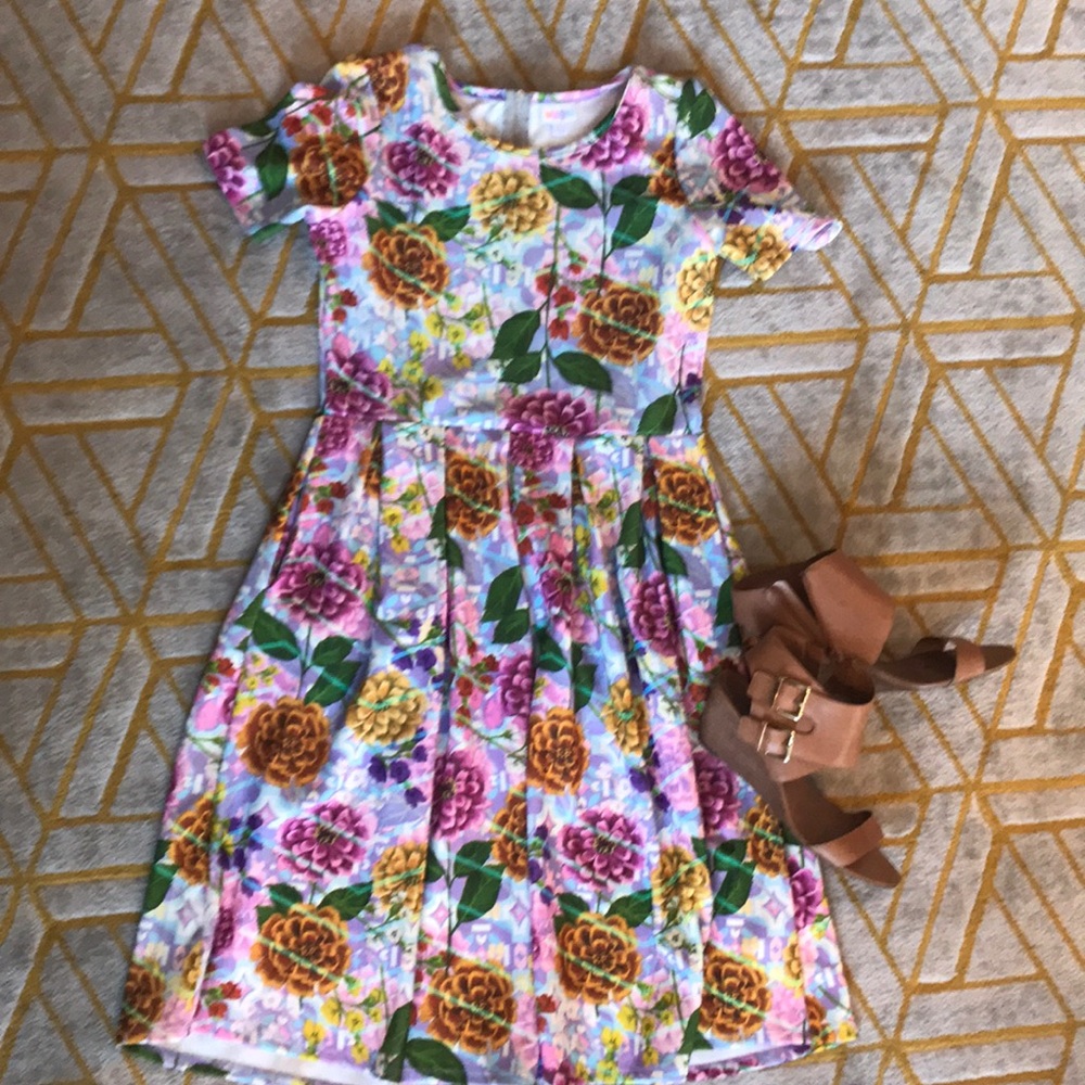 LuLaRoe Spring dress